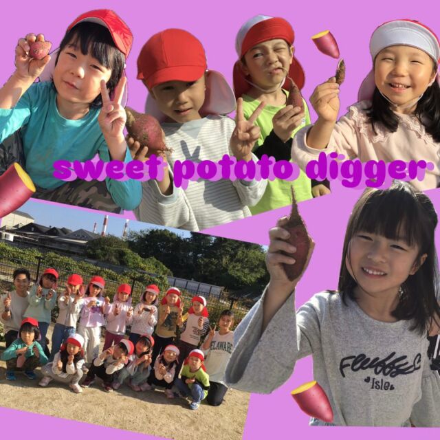 🌝

Sun Class☀️
芋掘りを楽しみました🍠

#大竹市 #こども園 #5歳児 #芋掘り #🍠